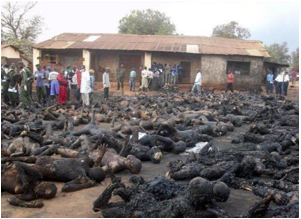 http://www.bajandolineas.com.ar/wp-content/uploads/2012/05/HOLOCAUSTO-EN-NIGERIA.jpg